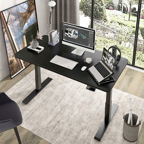 🔥Maidesite 48 Inches 🔥Height Adjustable Electric Standing Desk